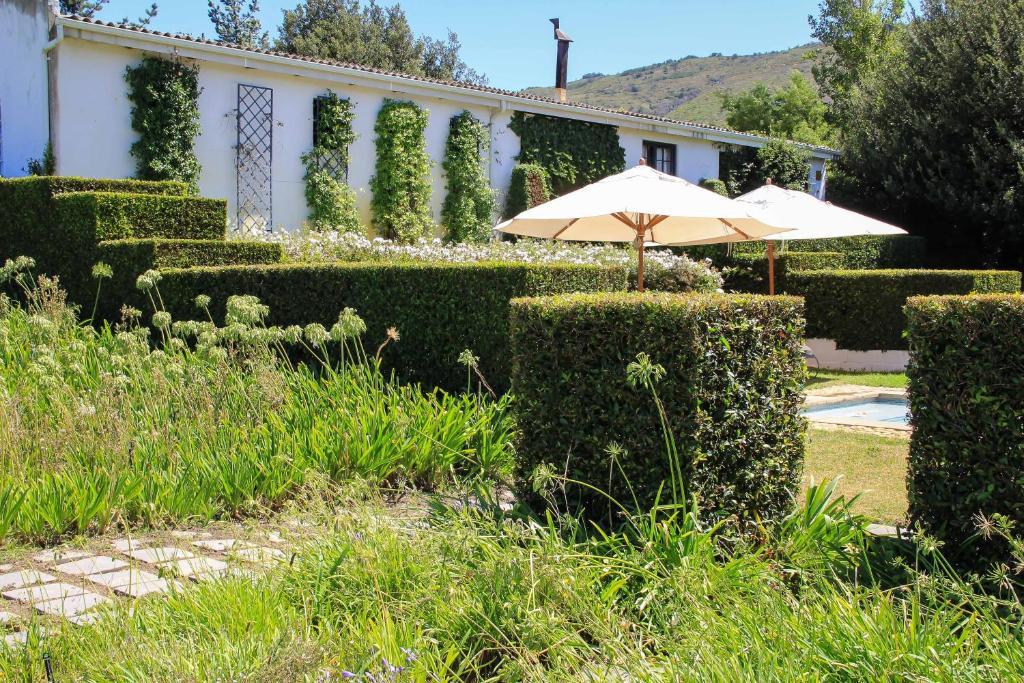 Belair Country House Bed and Breakfast Paarl Esterno foto